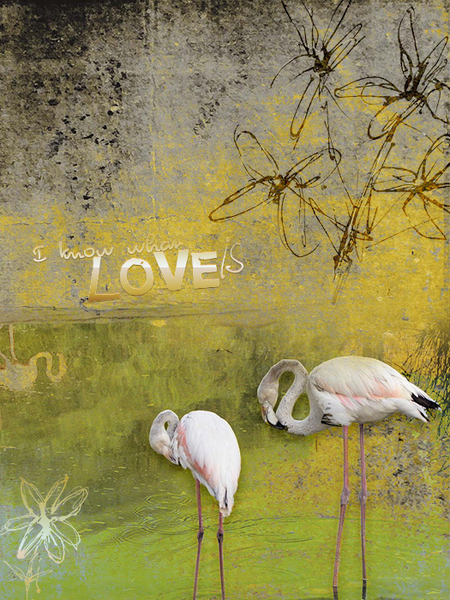 Love