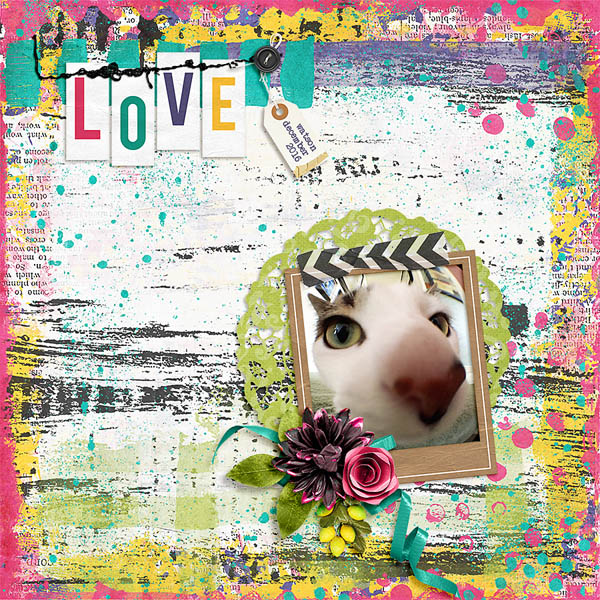love