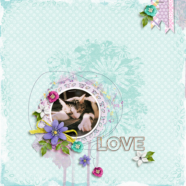 love