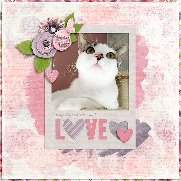 love