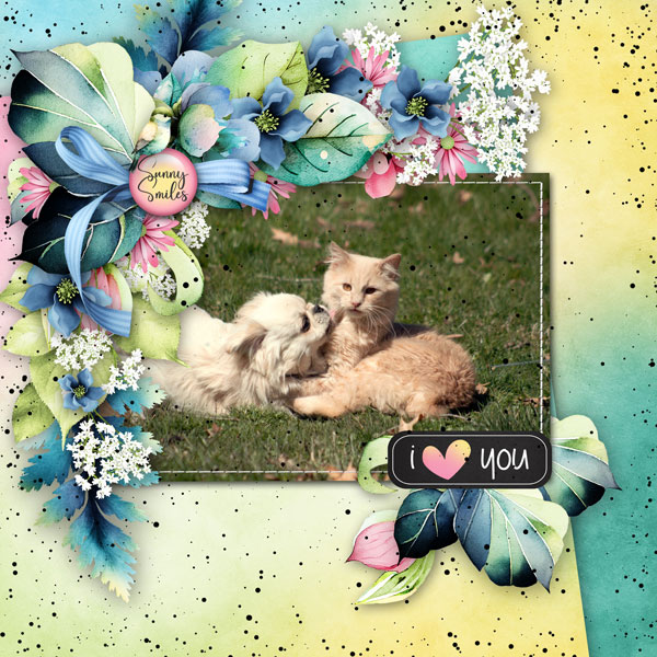 love