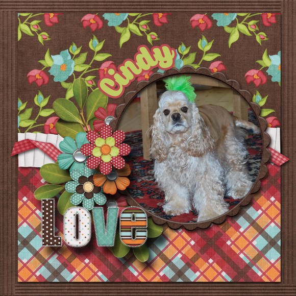 Love_Cindy