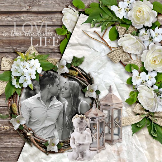 Love_is_like_the_seeds_of_life