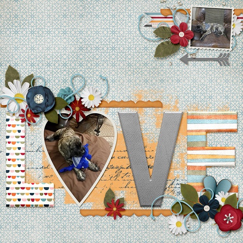 Love_this_Tibbie