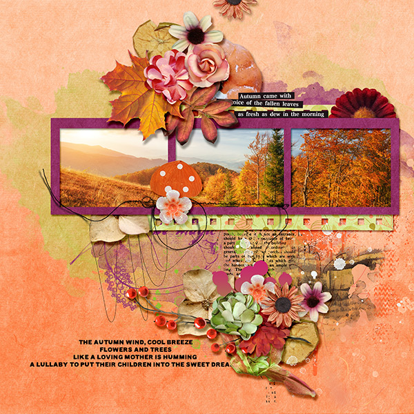 Lovely fall