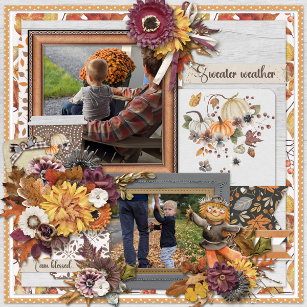 Lovely Fall