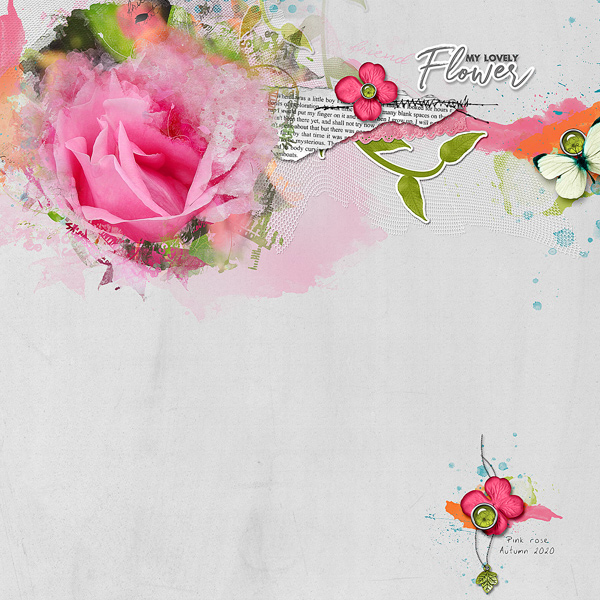 LOVELY FLOWER
