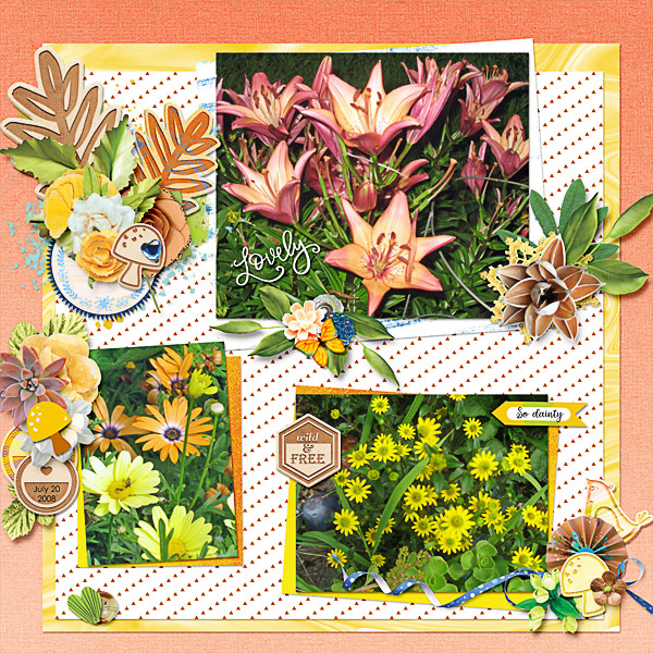 Lovely Flowers at Night