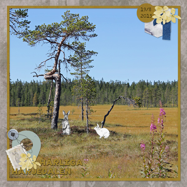 Lovely Harjedalen