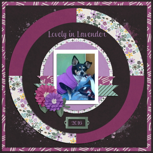 Lovely in Lavender
