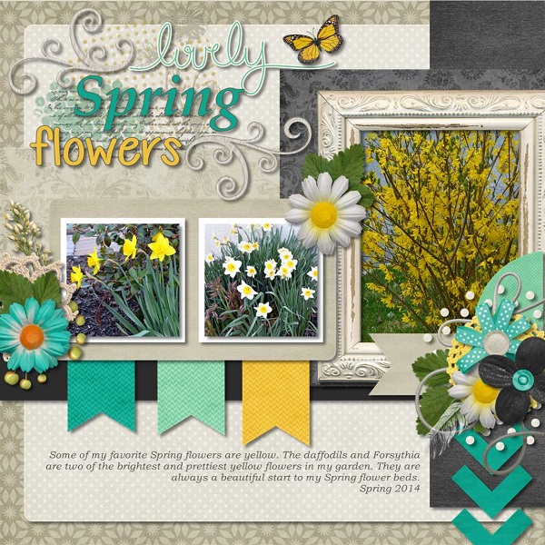 lovely Spring flowers