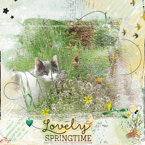Lovely Spring Time