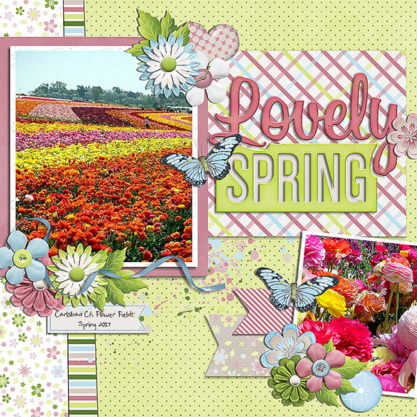 lovely spring
