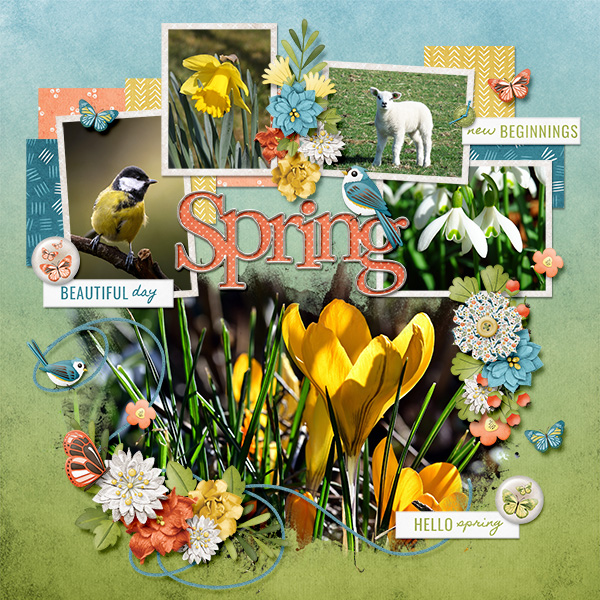 Lovely Spring