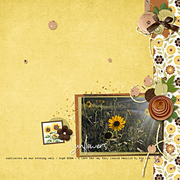 Lovely Sunflower
