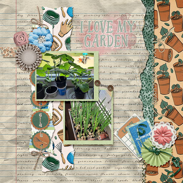 LoveMyGarden_ollitko6001