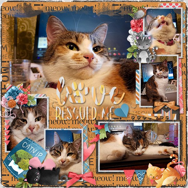 LoveRescuedMe_ollitko_600.jpg