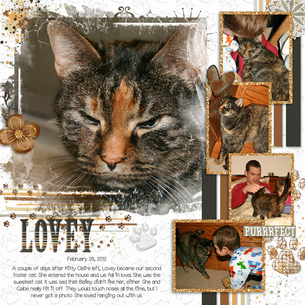 Lovey Cat