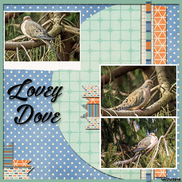 Lovey Dove