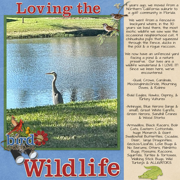 Loving the Wildlife