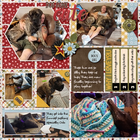 loving_our_furbabies