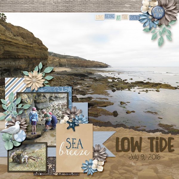 Low Tide