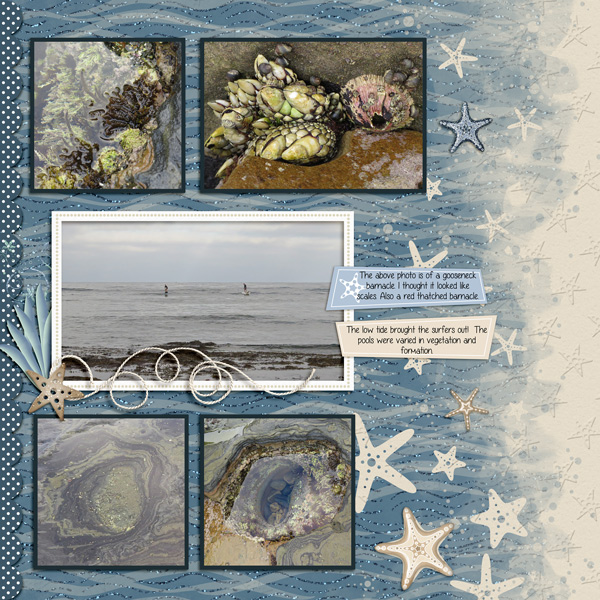 Low Tide