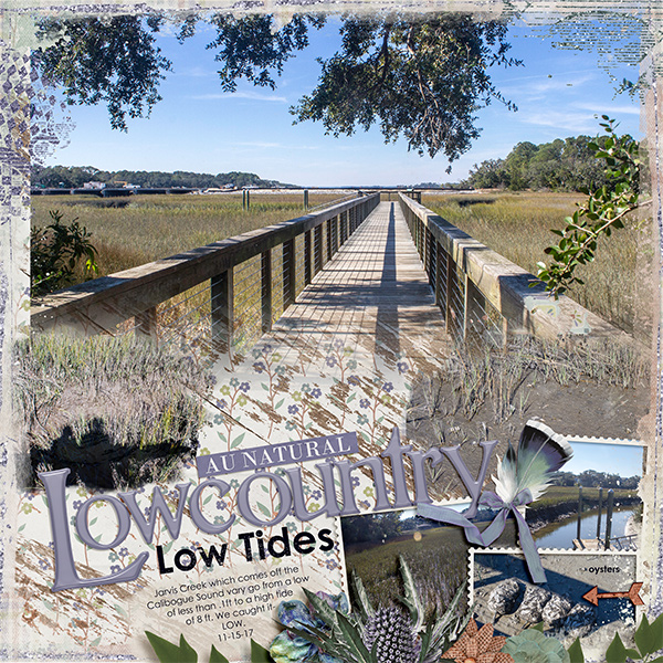 Lowcountry Low Tides
