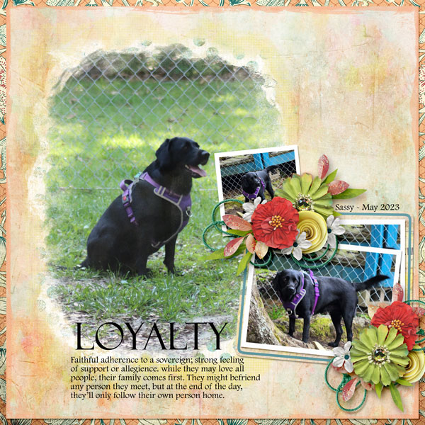 Loyalty