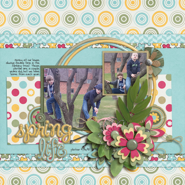 LRT_04_2017template1_challenge-lrtblossom