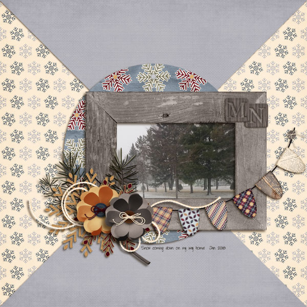 LRT_whatangle_temp-gs-cabin-fever