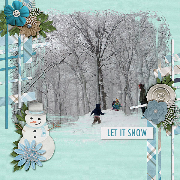 lsnow-2014