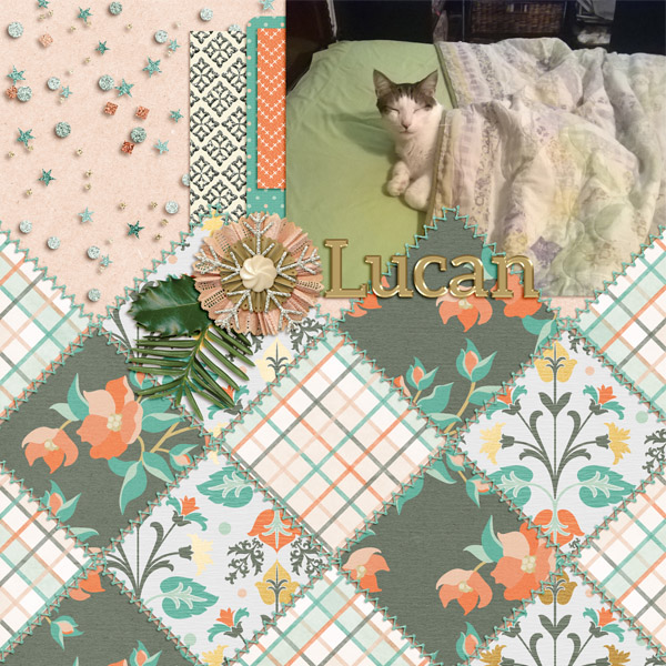 Lucan - Tucked in Bed