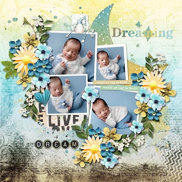 Lucid Dreaming-Bundle