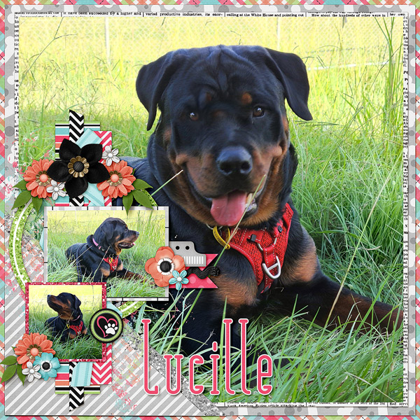 Lucille
