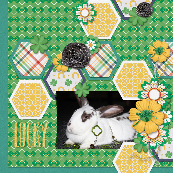 Lucky Bunny