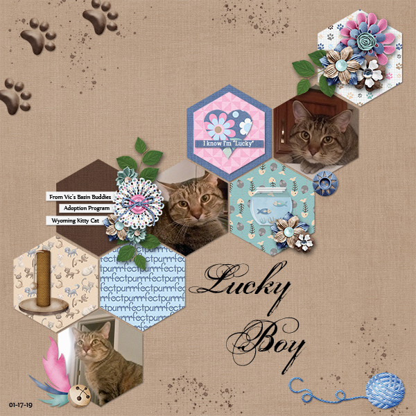 Lucky Cat