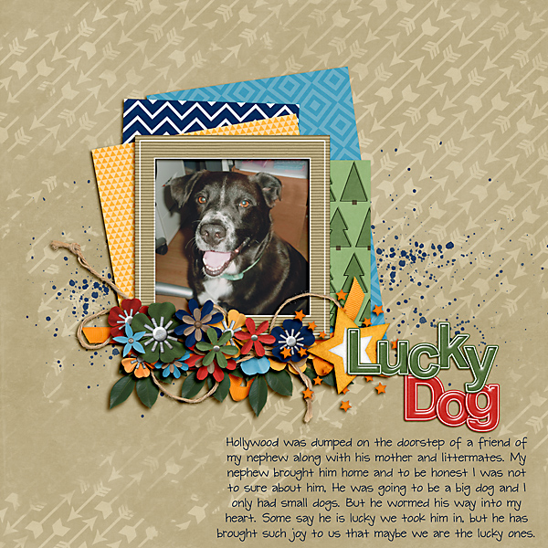 Lucky Dog