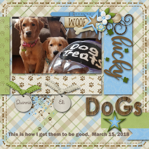 Lucky Dogs