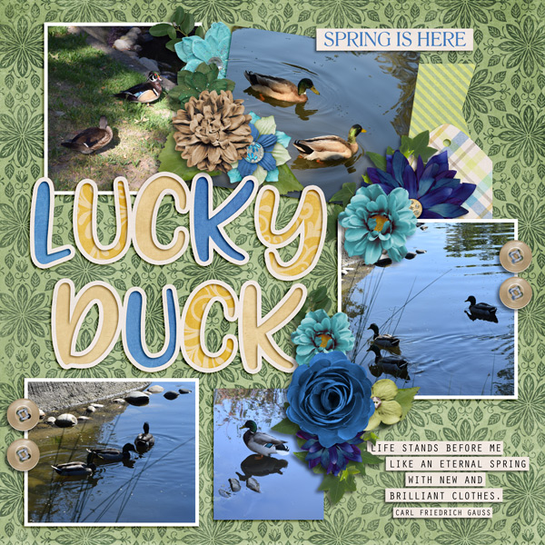 lucky duck