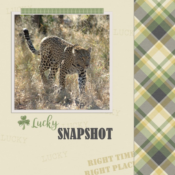 lucky snapshot