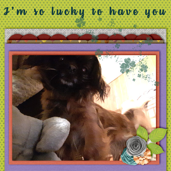 Lucky to have you