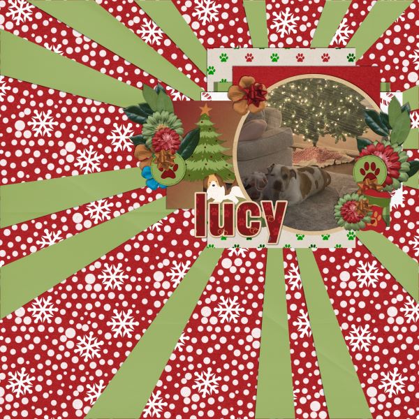 Lucy