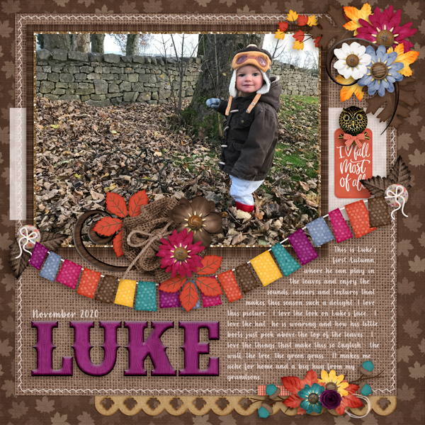 Luke in the Leaves