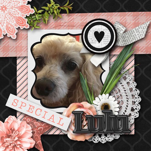 Lulu by my daughter Sophie