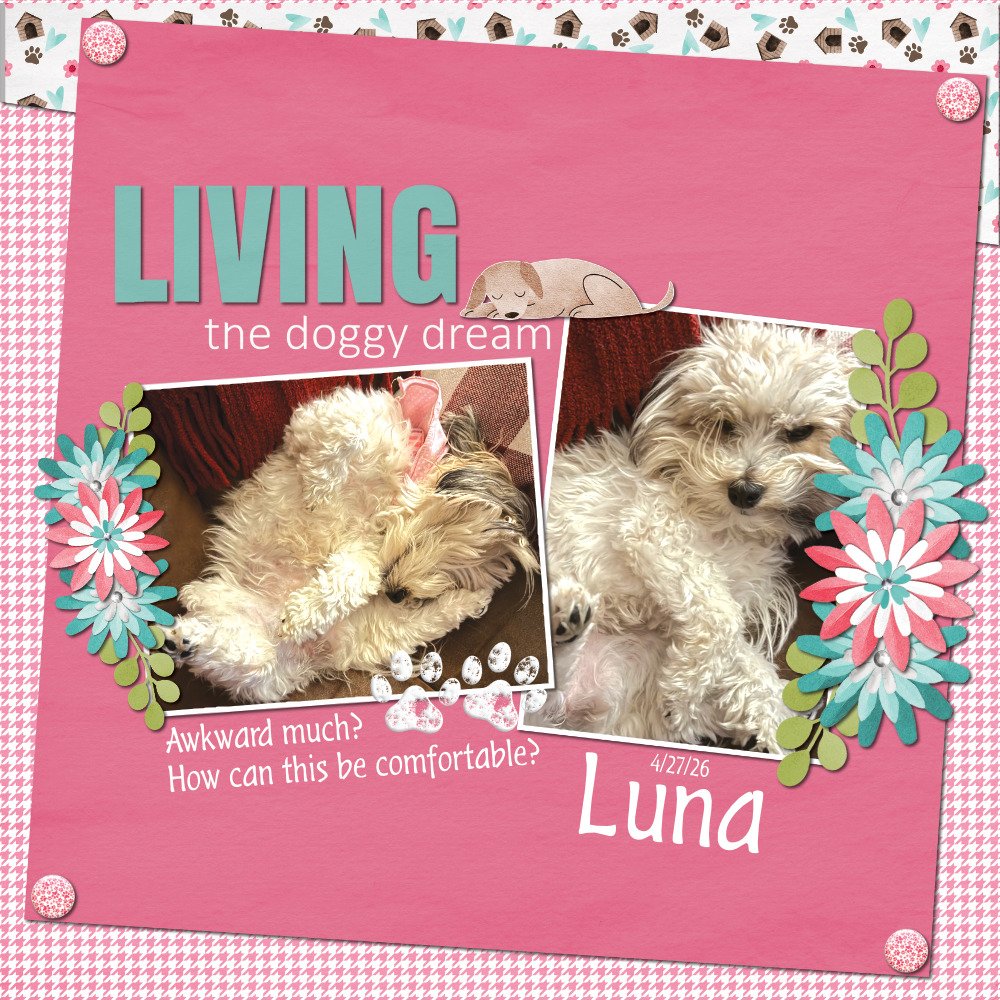Luna Awkward Much 04-27-26
