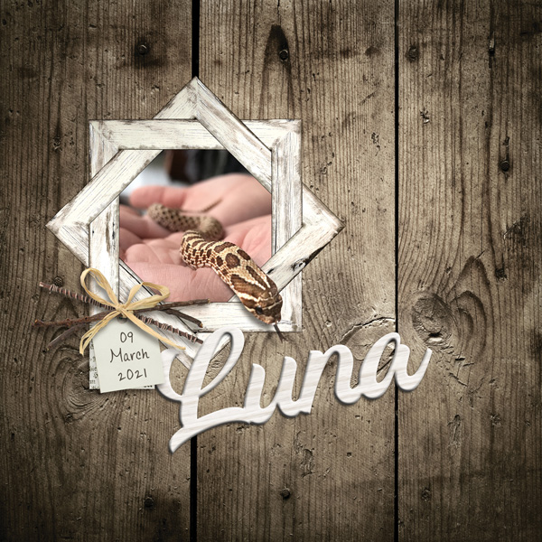 Luna