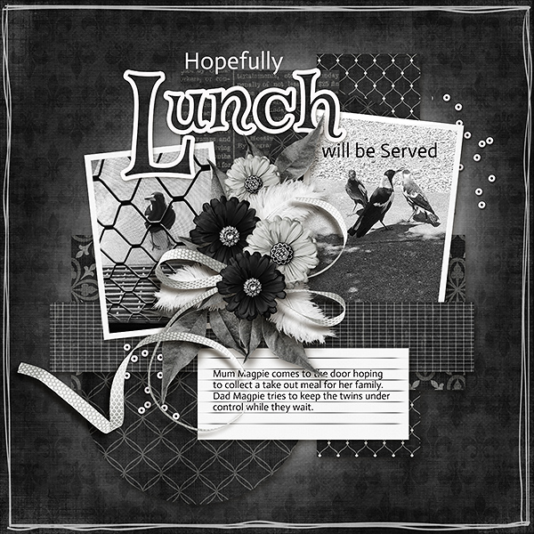 Lunch is Served...hopefully