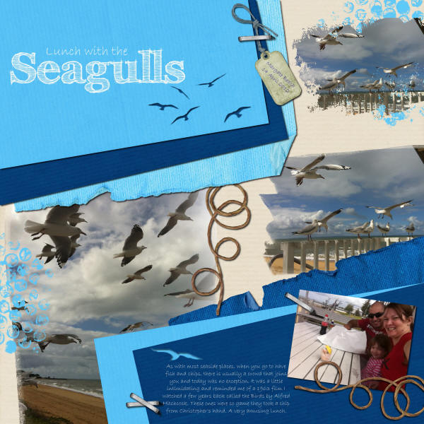 Lunch with the Seagulls