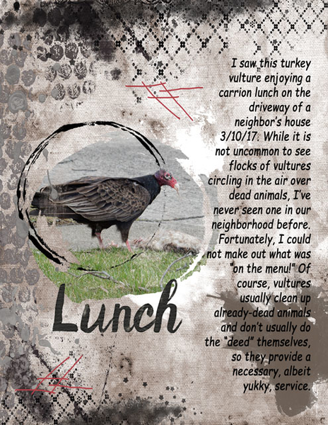 Lunch